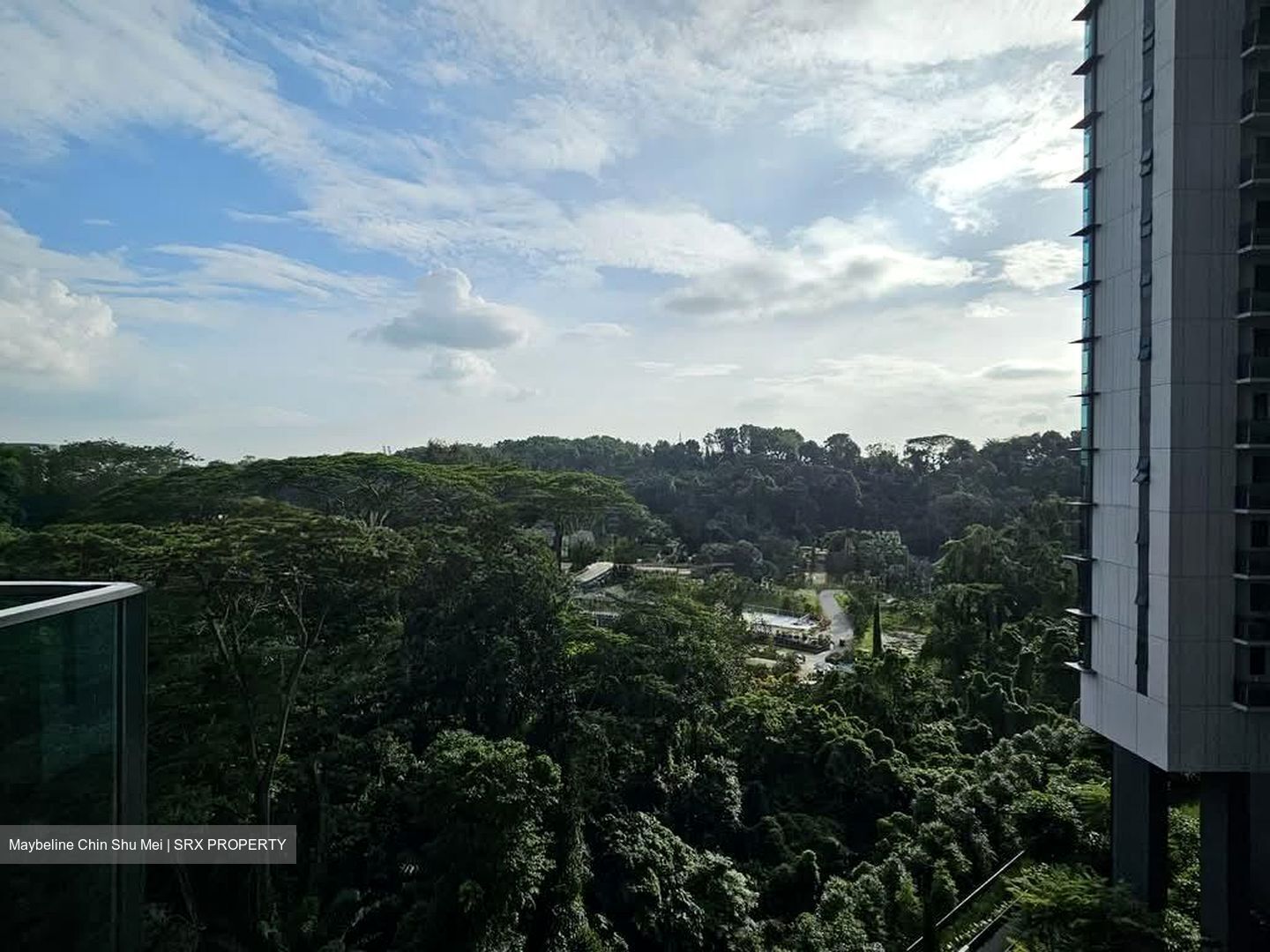 Normanton Park (D5), Apartment #551850741